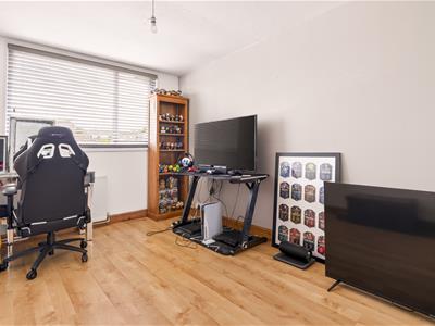 Picture 7